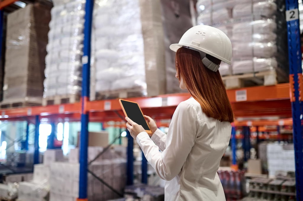 Risk Mitigation The Smart Approach to Global Stability